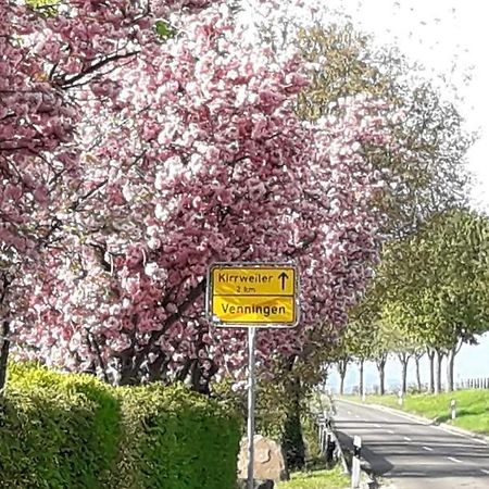 Gaestehaus Lifestyle Kirrweiler  Esterno foto